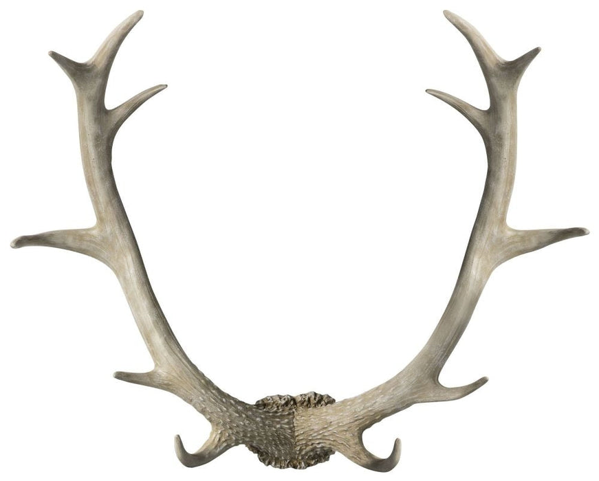 Bjorn Whitewash Antler Wall Art