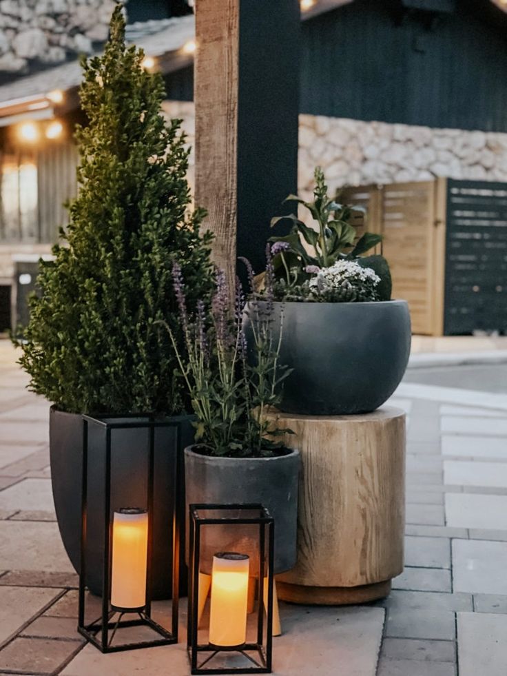Garden Accessories