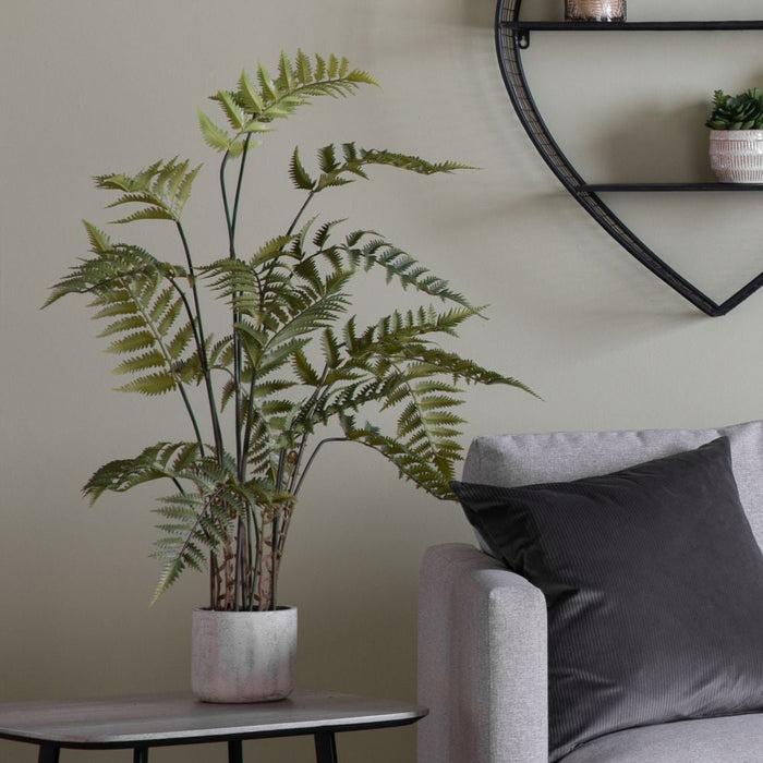 Large Potted Fern in Distressed Cement Pot