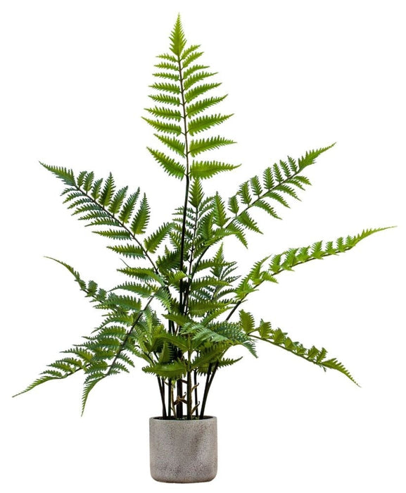 Small Potted Fern in Distressed Cement Pot