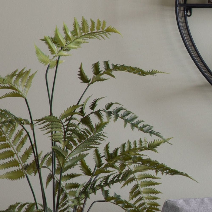 Small Potted Fern in Distressed Cement Pot