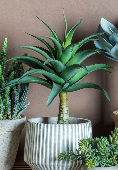 Faux Agave Artificial Potted Plant