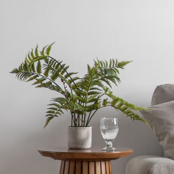 Small Potted Fern in Distressed Cement Pot