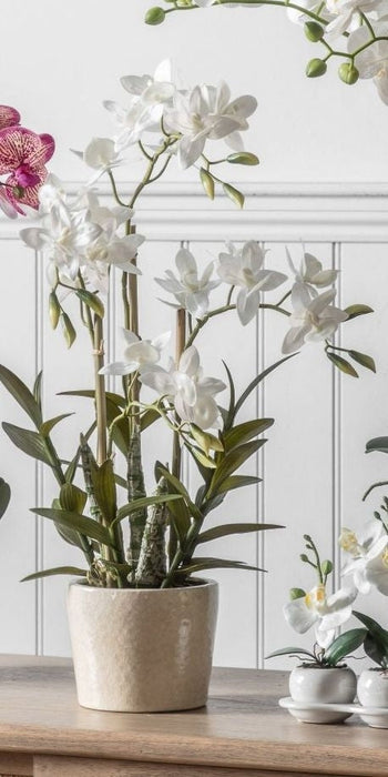 Orchid White Cycnoches Ceramic Pot