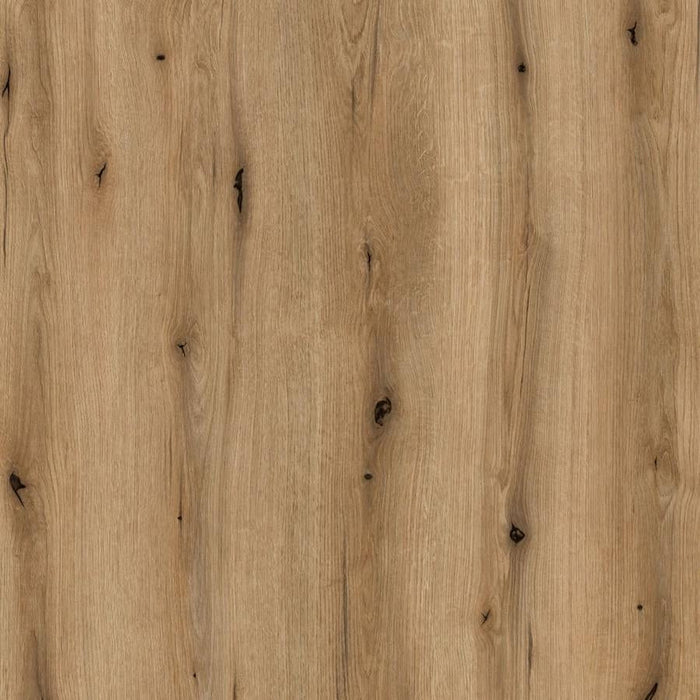 Celesto White and Oak 5 Door 2 Drawer Display Cabinet